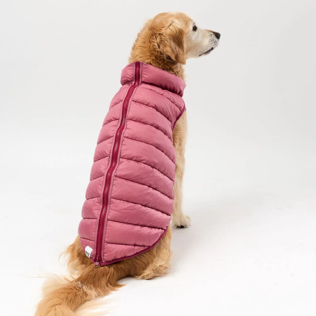 Back Zipper Puffer Jacket with Harness Hole - Berry