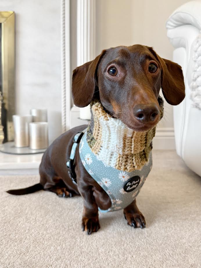 Cosy Cottage Knitted Dog Snood - Roll Top (UK handmade)
