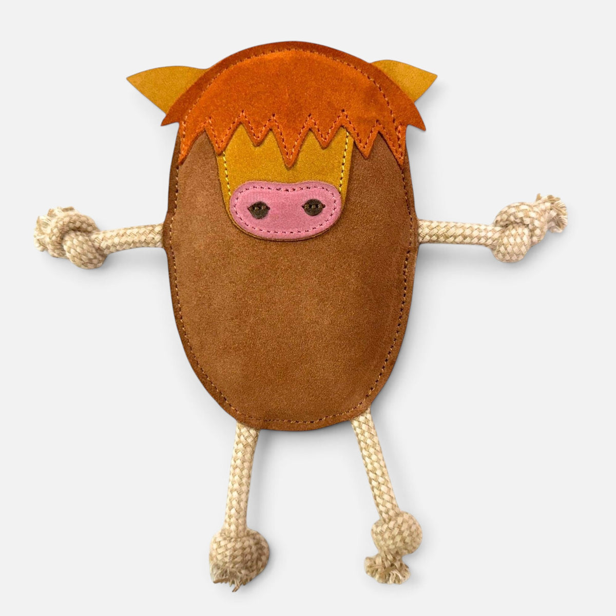 Hector the Highland Cow