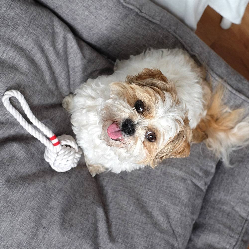Louie Living Tug Rope - Small
