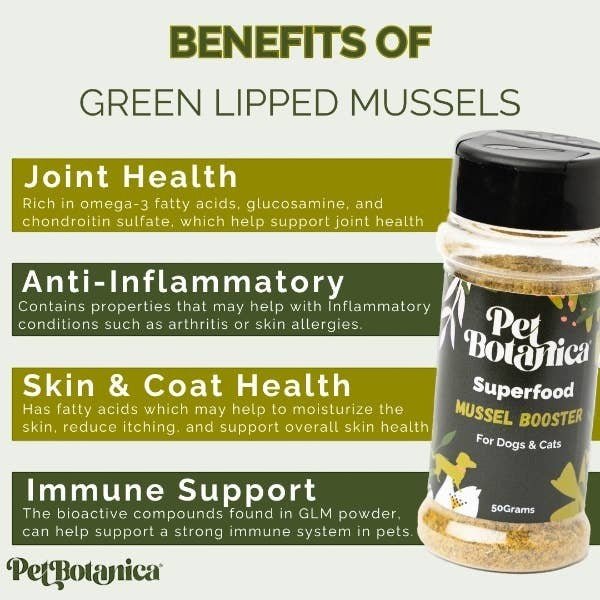 Green Lipped Mussel Powder for Dogs and Cats | Superfood