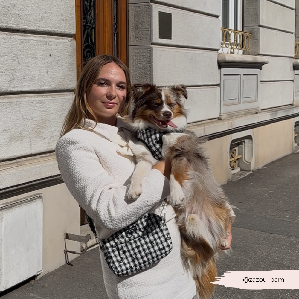 Bag Strap - Pup in Paris