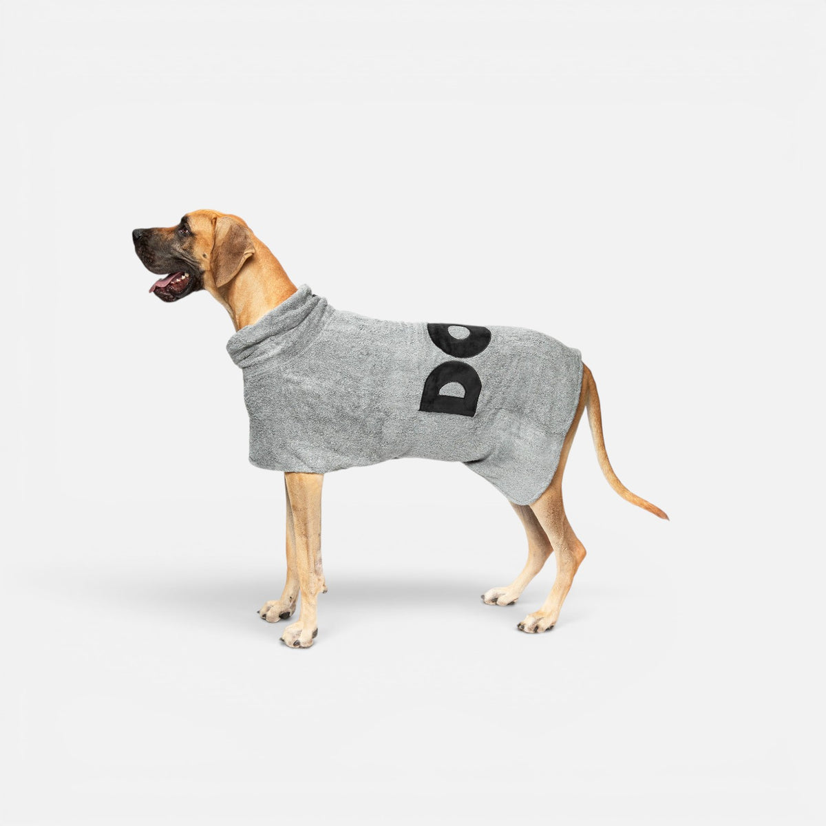 DOG Poncho