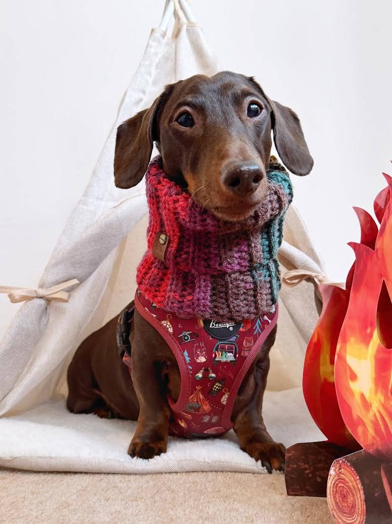 Cosy Cottage Knitted Dog Snood - Roll Top (UK handmade)