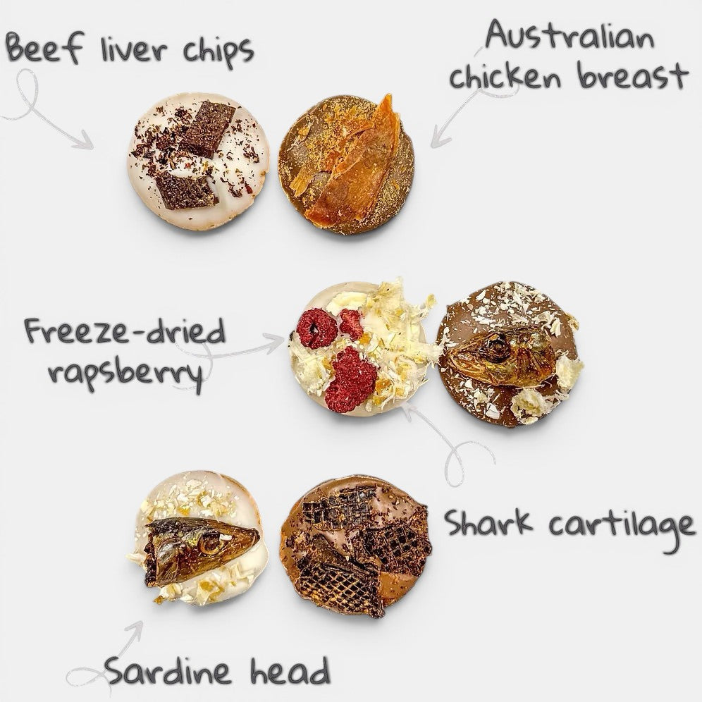 Nutri Muffins