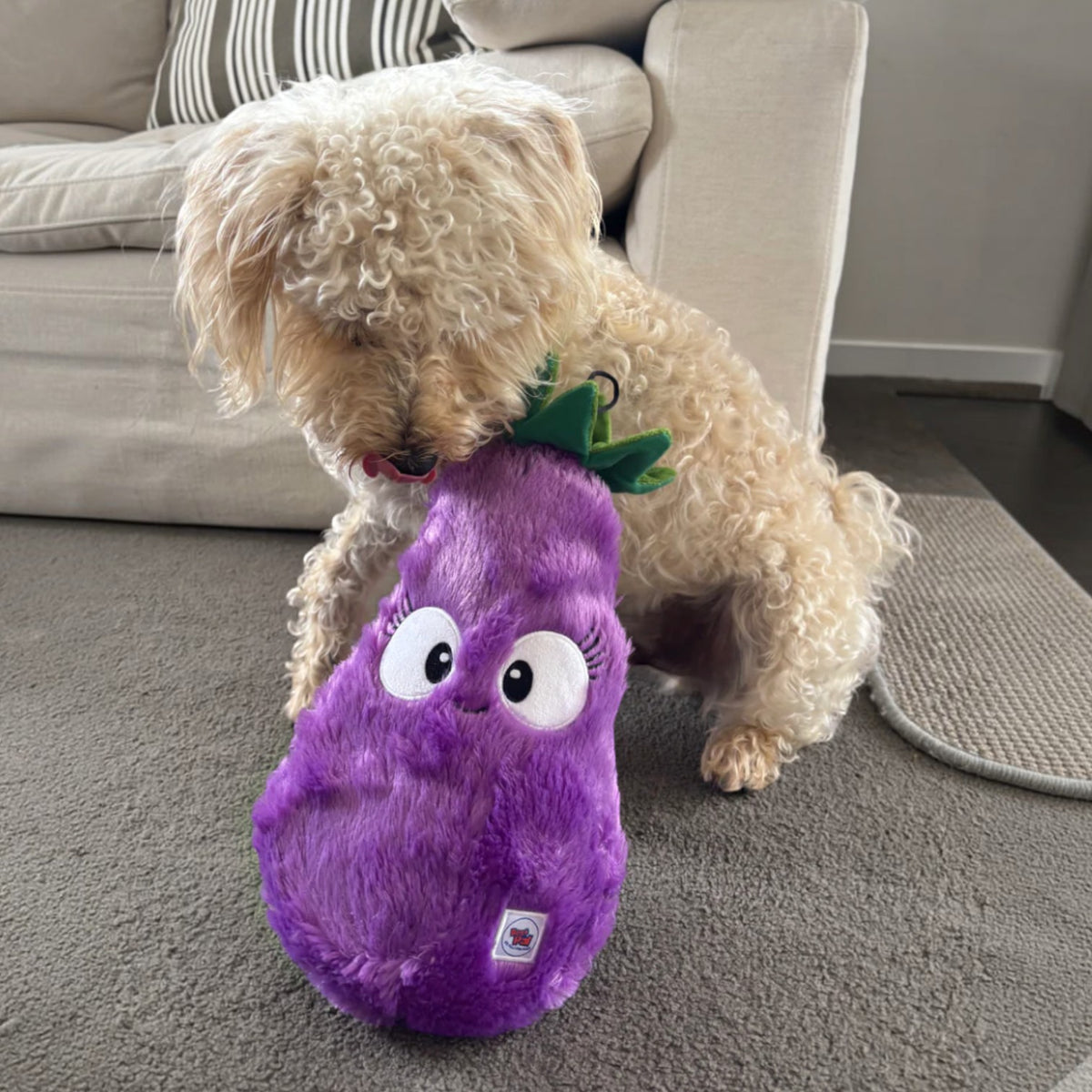 Eggplant plush dog toy made from 100% recycled material