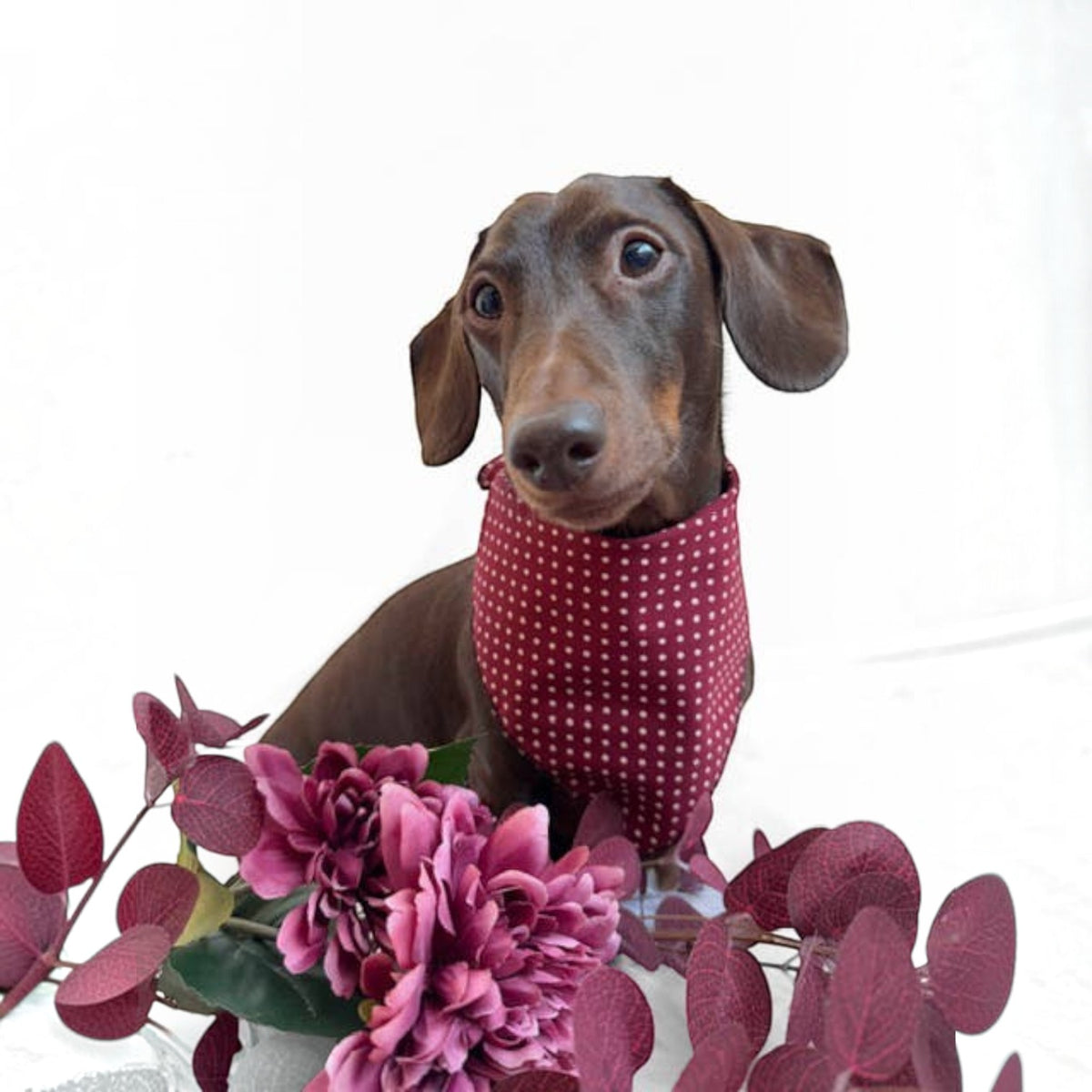 Olde English Red Polka Dot Dog Bandana (classic) - Handmade