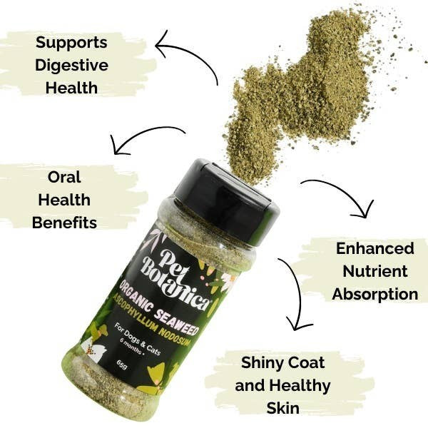Organic Seaweed Meal Topper for Dogs & Cats - Dental Support