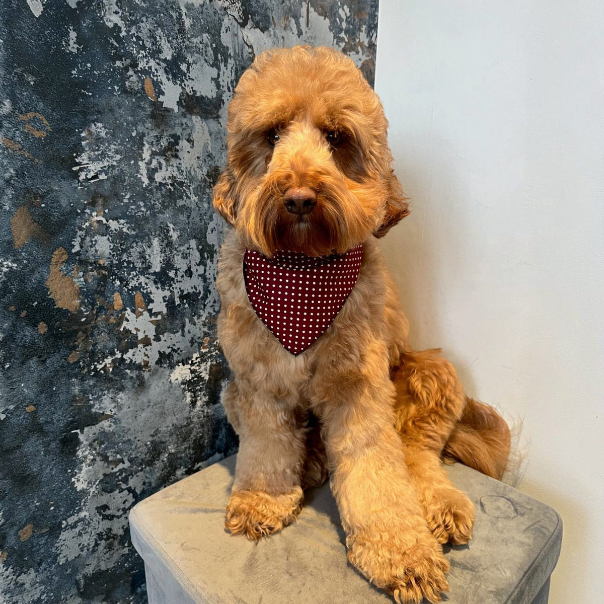 Olde English Red Polka Dot Dog Bandana (classic) - Handmade