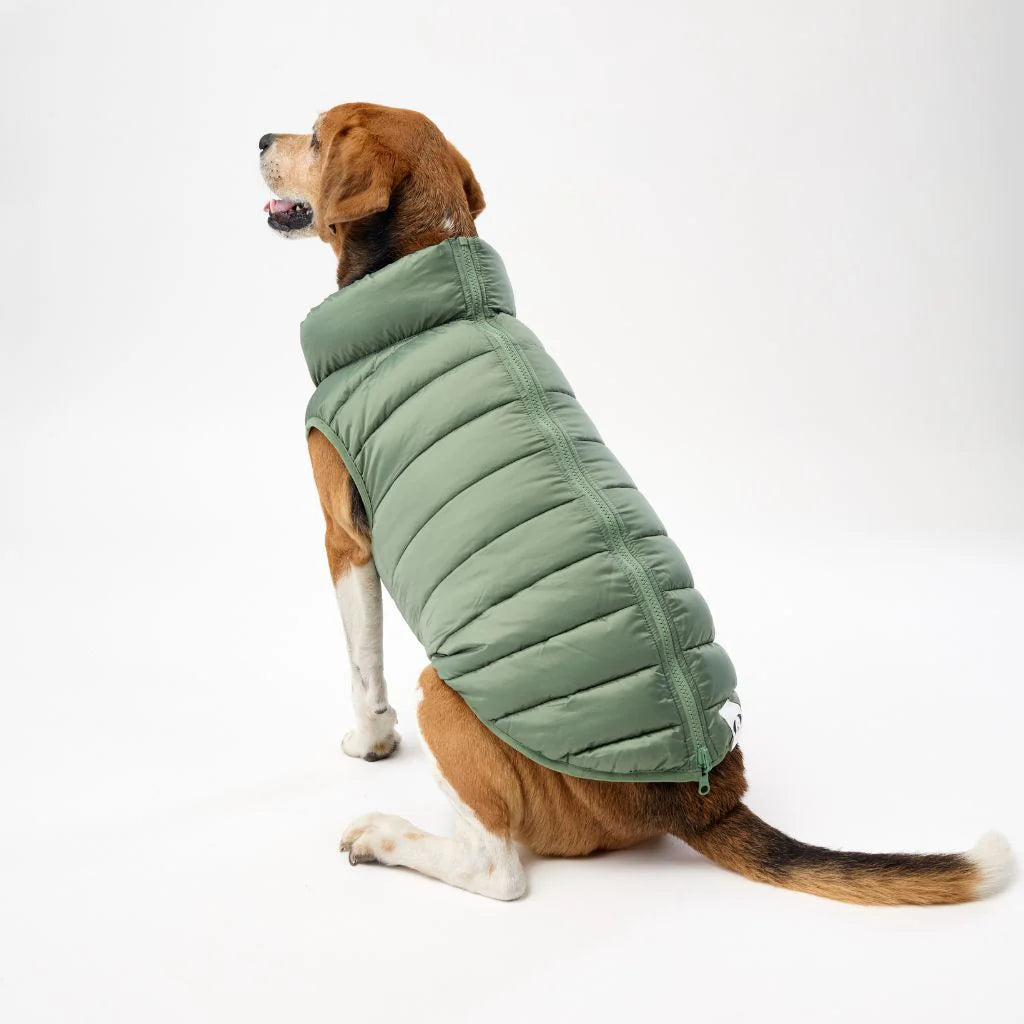 Reversible Dog Back Zipper Puffer Jacket with Harness Hole - Forest Green / Animal Print