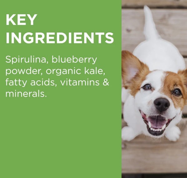 Paw Wellness + Vitality Chew