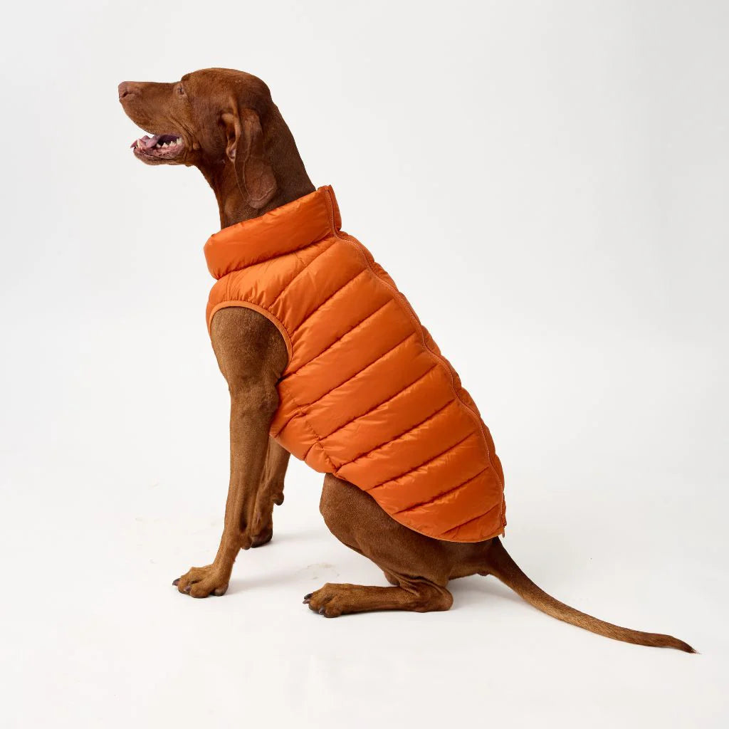 Reversible Dog Back Zipper Puffer Jacket with Harness Hole - Sunset Orange