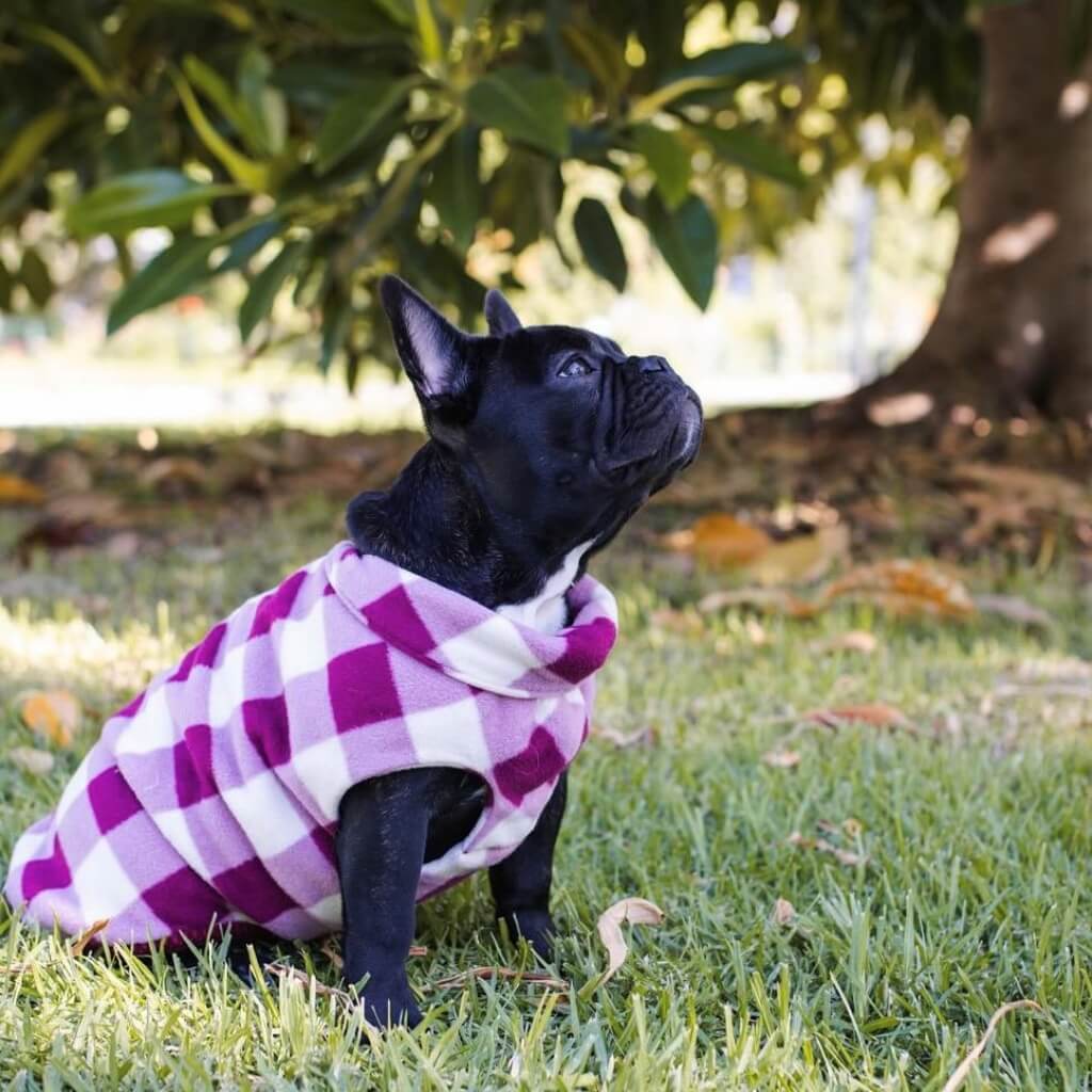 The Floofy Fleece - Berry Gingham