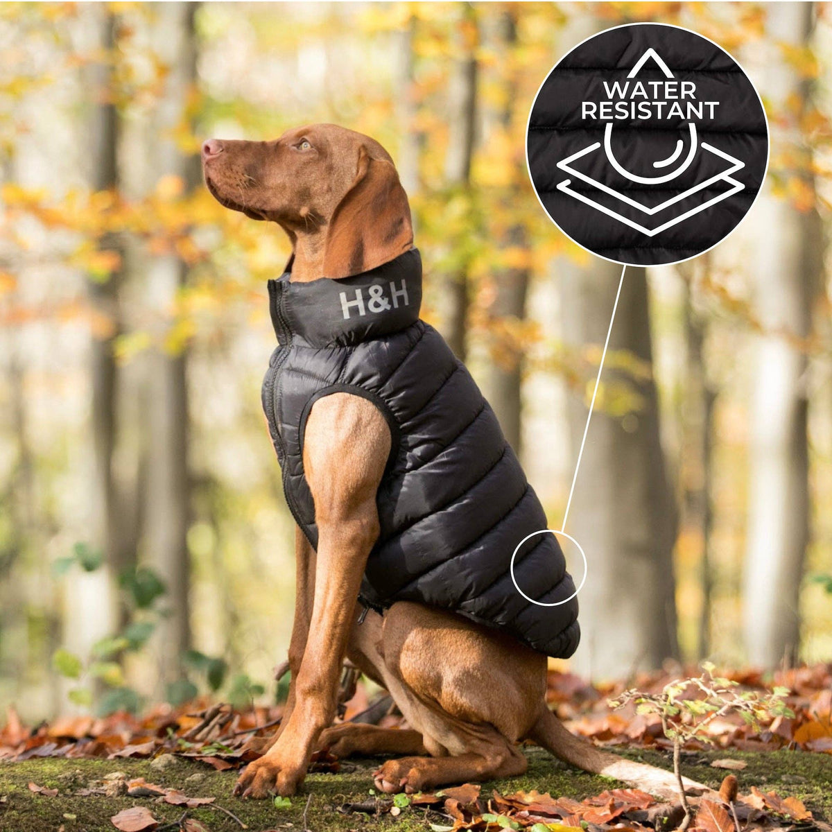 Reversible Dog Puffer Jacket - Black and Grey