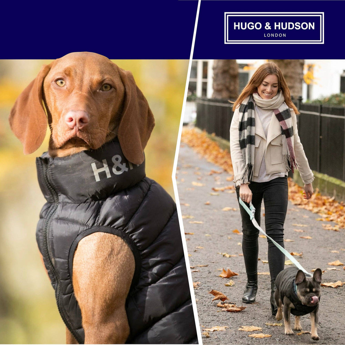 Reversible Dog Puffer Jacket - Black and Grey