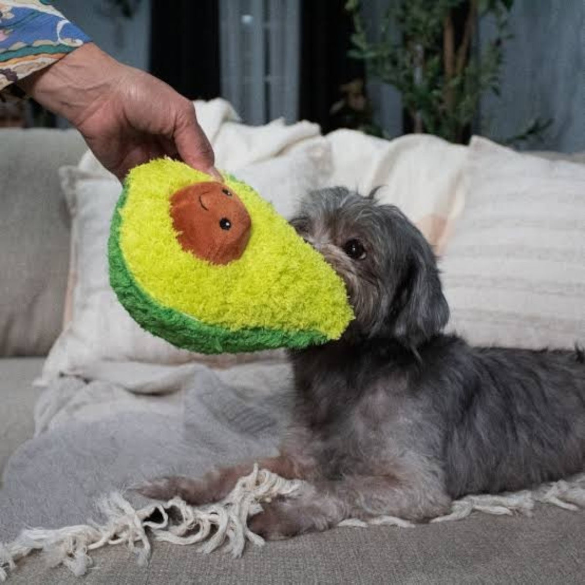 Plush Avocado