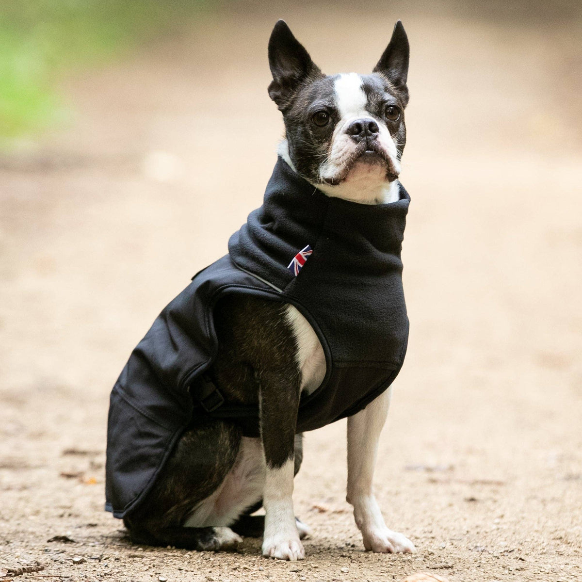 Thermal Self Heating Dog Jacket - Black