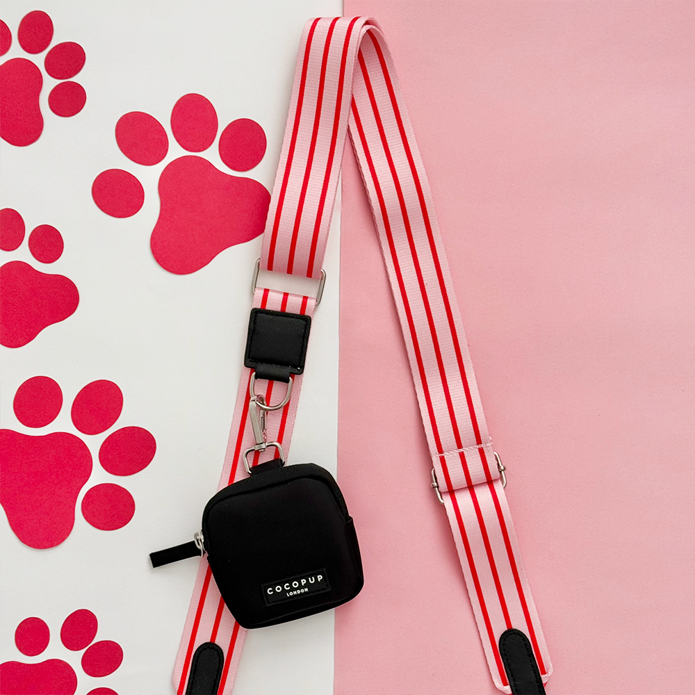 Bag Strap - Candy Stripe