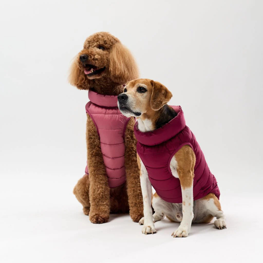 Back Zipper Puffer Jacket with Harness Hole - Berry
