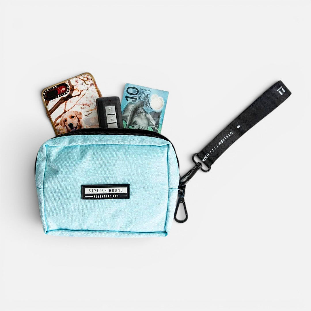 Baby Blue Express Pouch