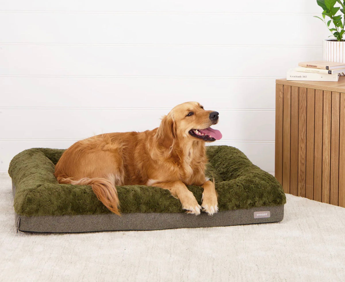 Snooza Ultra Comfort Lounge