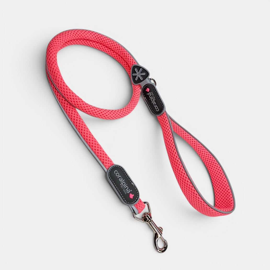 Cinqetorri Lead