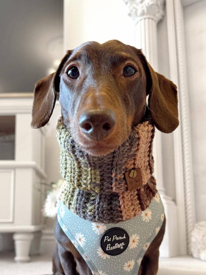Cosy Cottage Knitted Dog Snood - Roll Top (UK handmade)