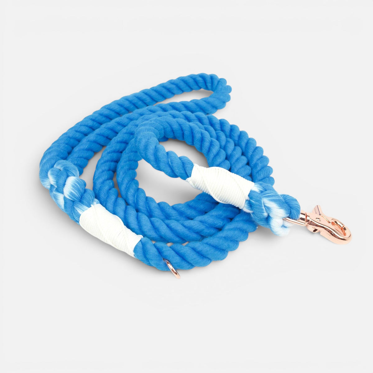 Rope Leash // Electric Blue