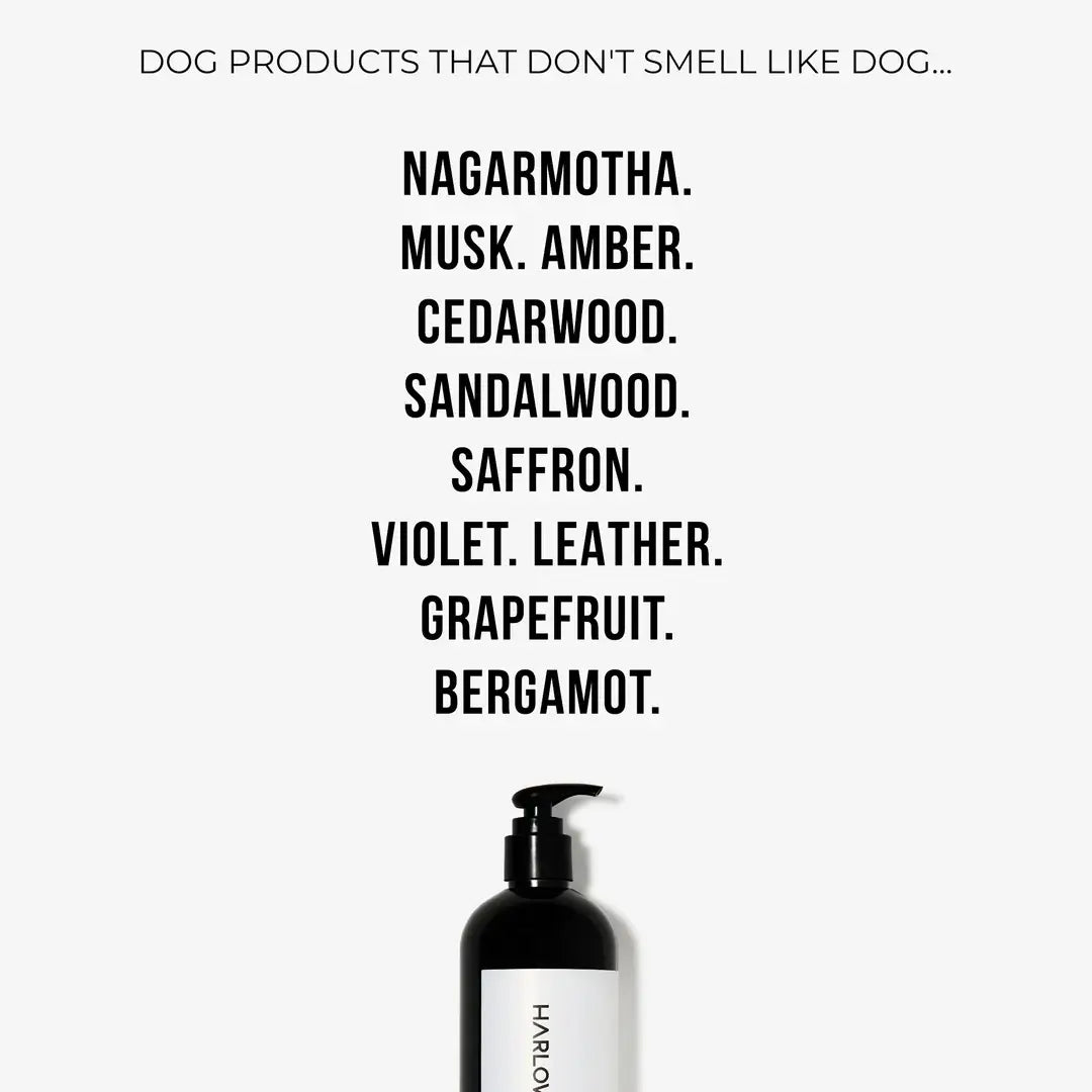 2-in-1 Conditioning Dog Shampoo | L'hermitage 37