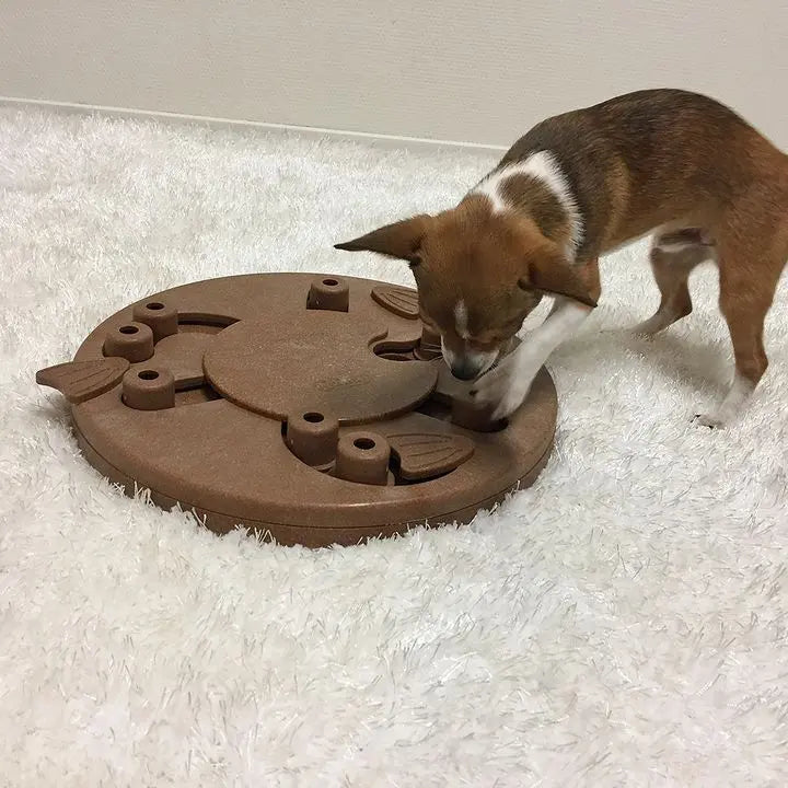 Nina Ottosson Dog Worker Puzzle