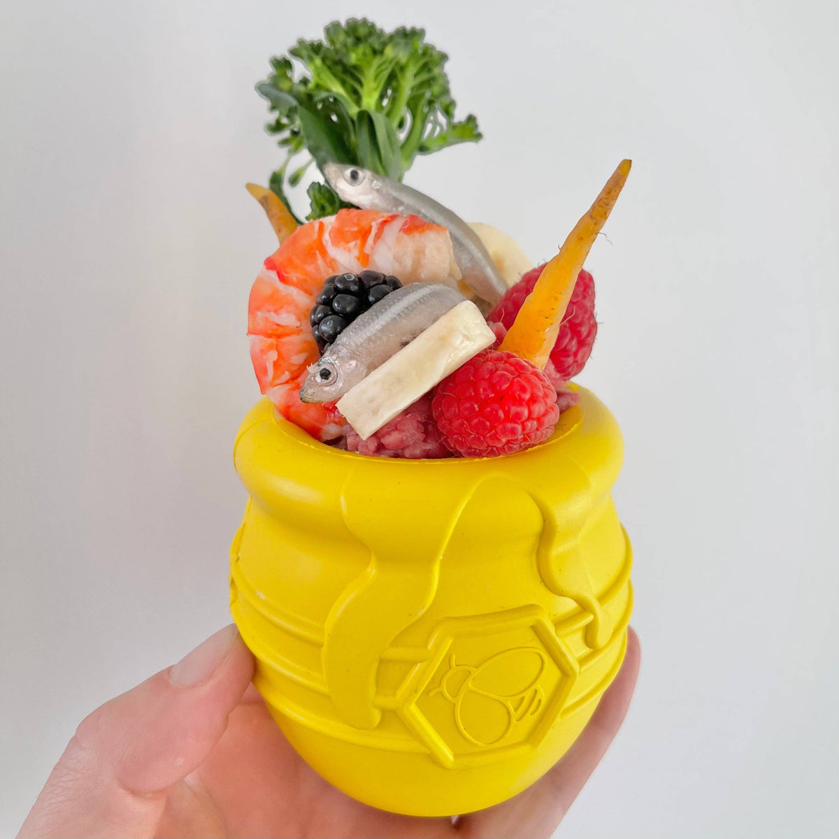 Honey Pot - Chew and Enrichment Toy