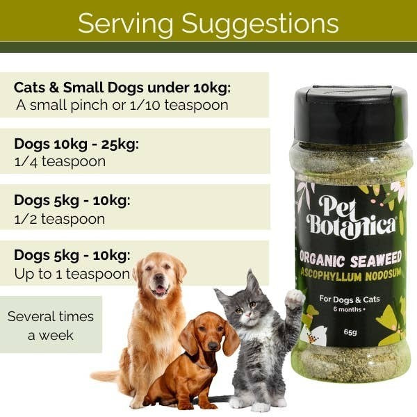 Organic Seaweed Meal Topper for Dogs & Cats - Dental Support