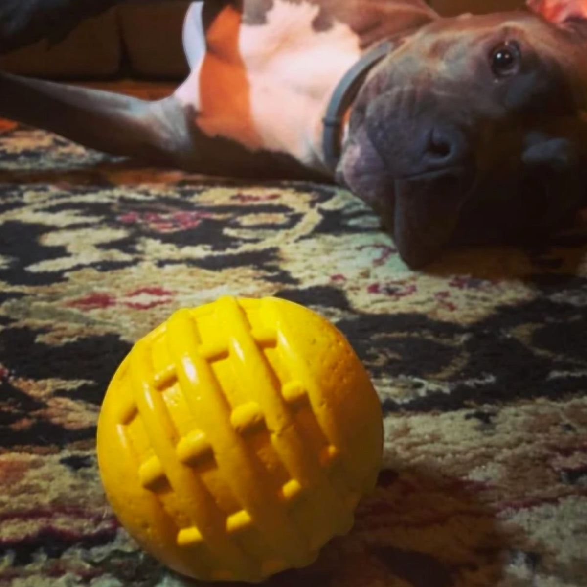 Industrial Dog Ball (Power Chewers)