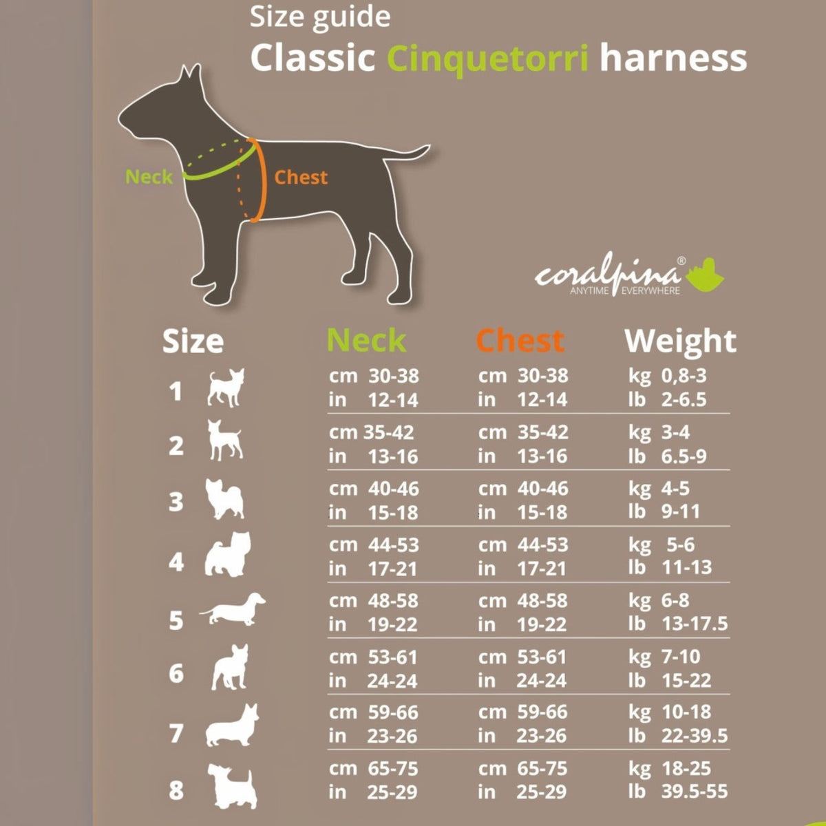 Cinqetorri Harness