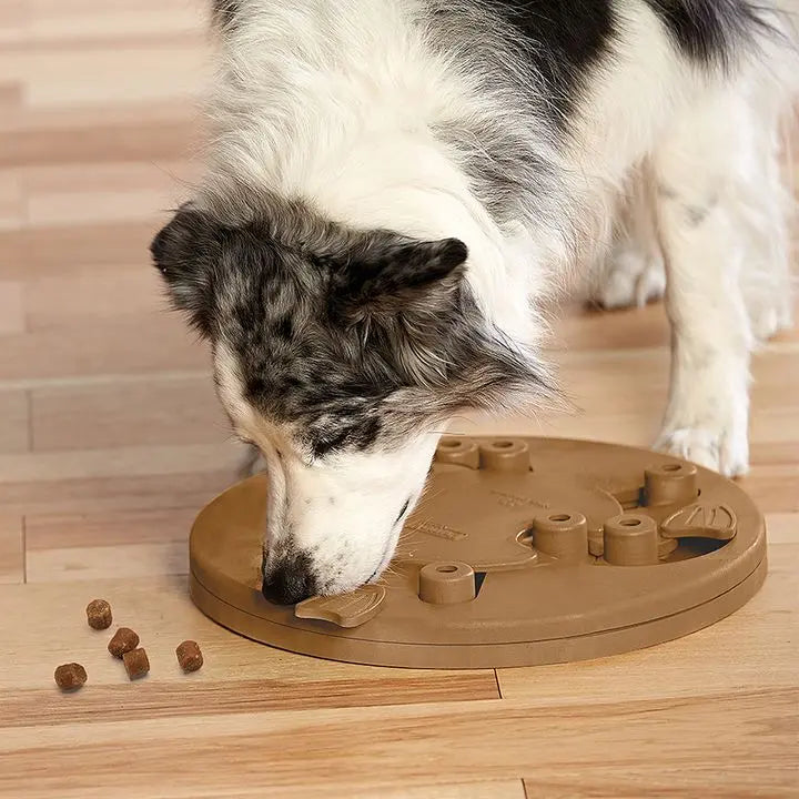 Nina Ottosson Dog Worker Puzzle