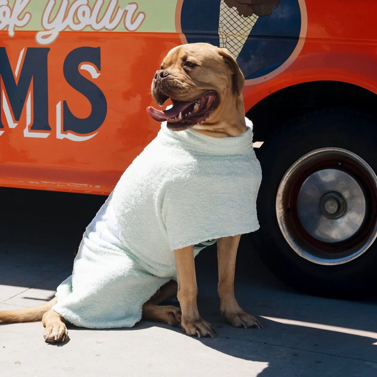 DOG Poncho