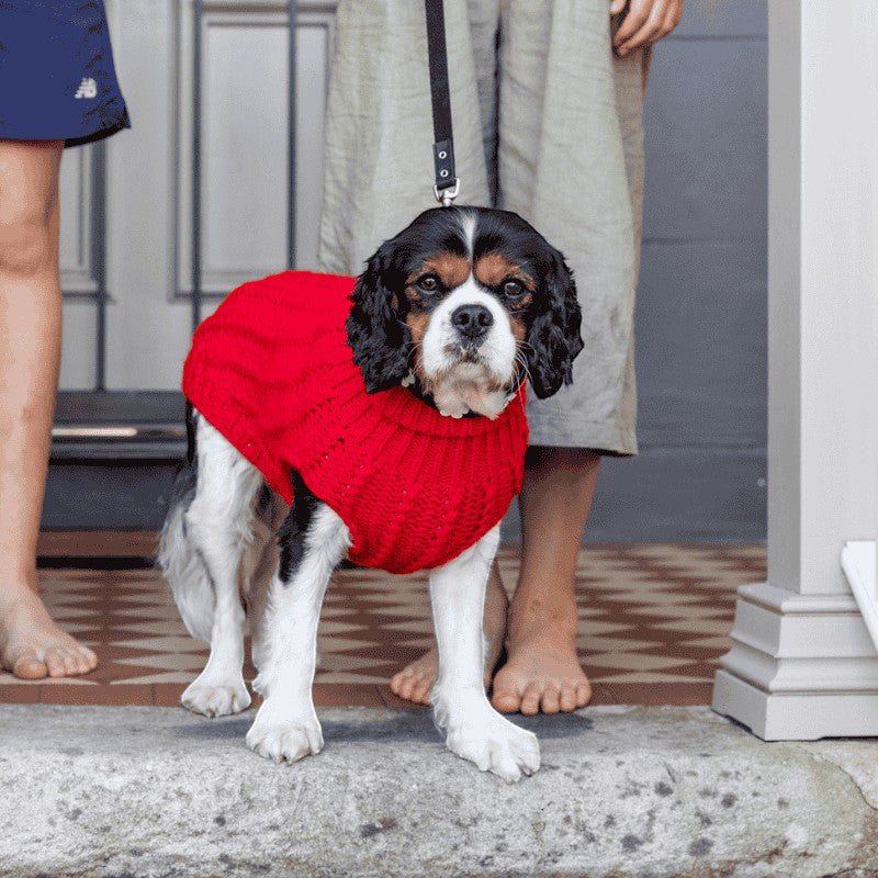 DOGUE Cable Knit Dog Jumper