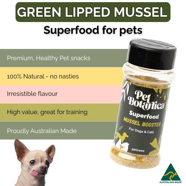 Green Lipped Mussel Powder for Dogs and Cats | Superfood