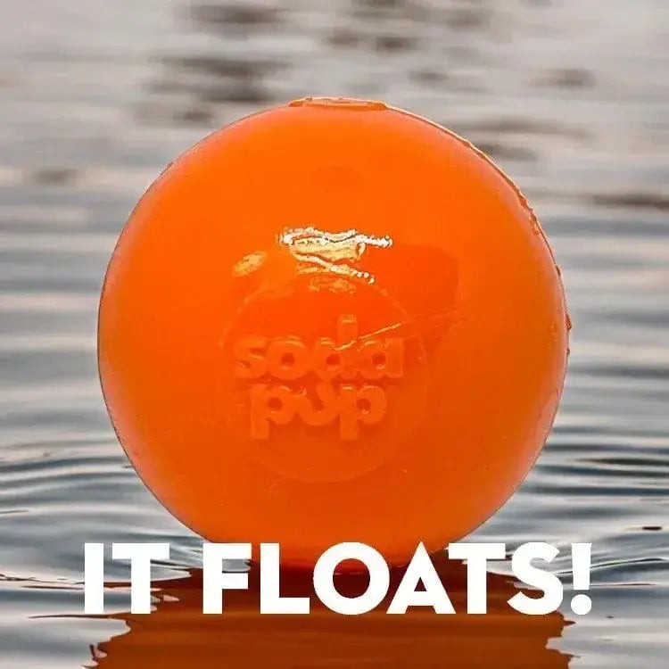 Glow in the Dark Squeak Ball (Chew & Retrieval Toy)
