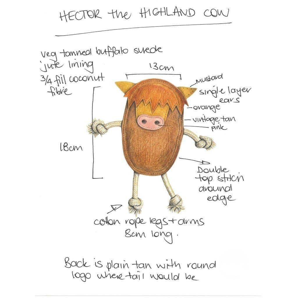 Hector the Highland Cow