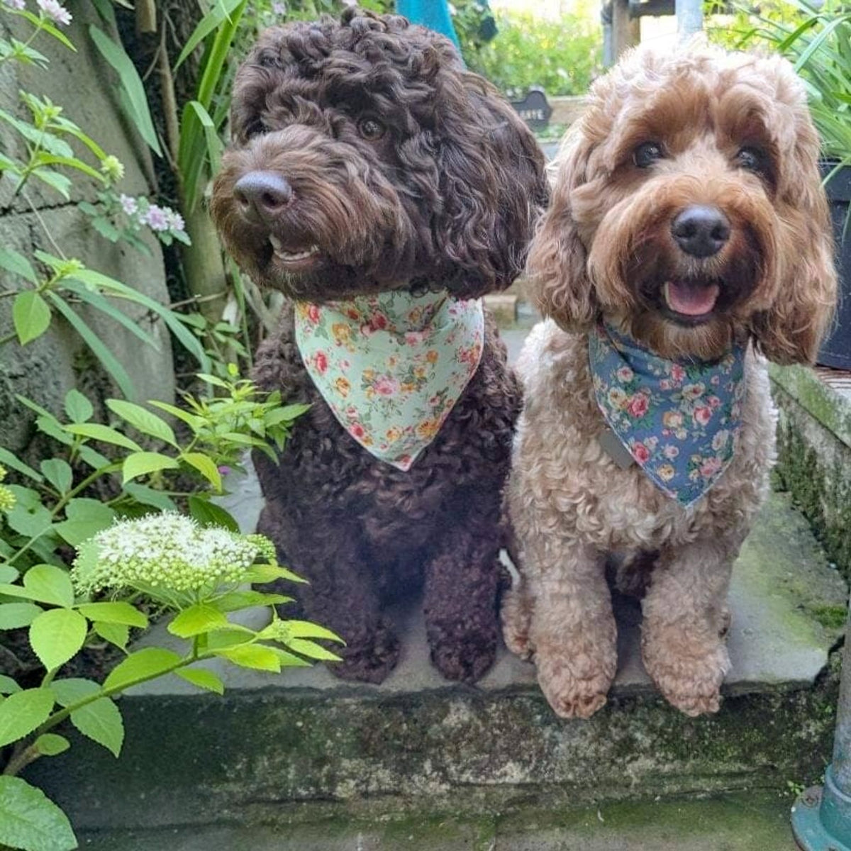 Country Blue Vintage Floral Puppy Dog Bandana- Handmade