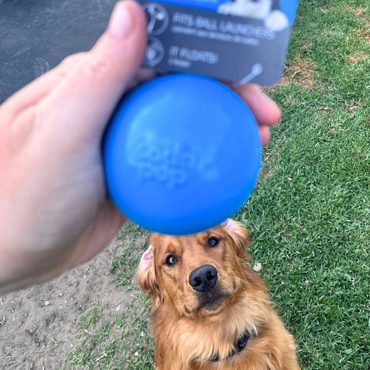 Squeak Ball (Chew & Retrieval Toy