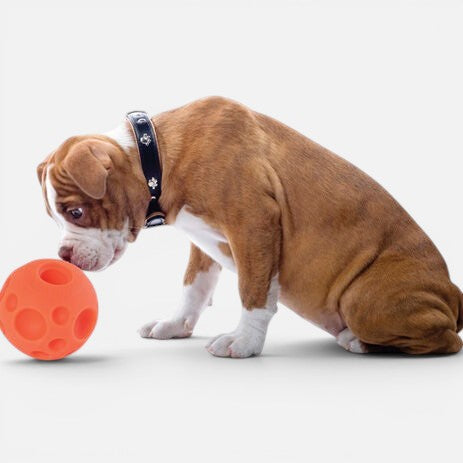 Tricky Treat Ball