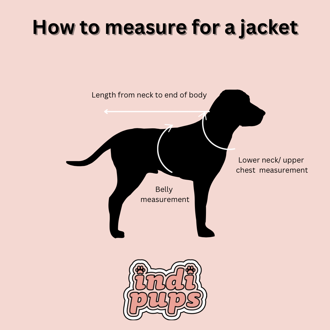 Blue Check Dog Jacket