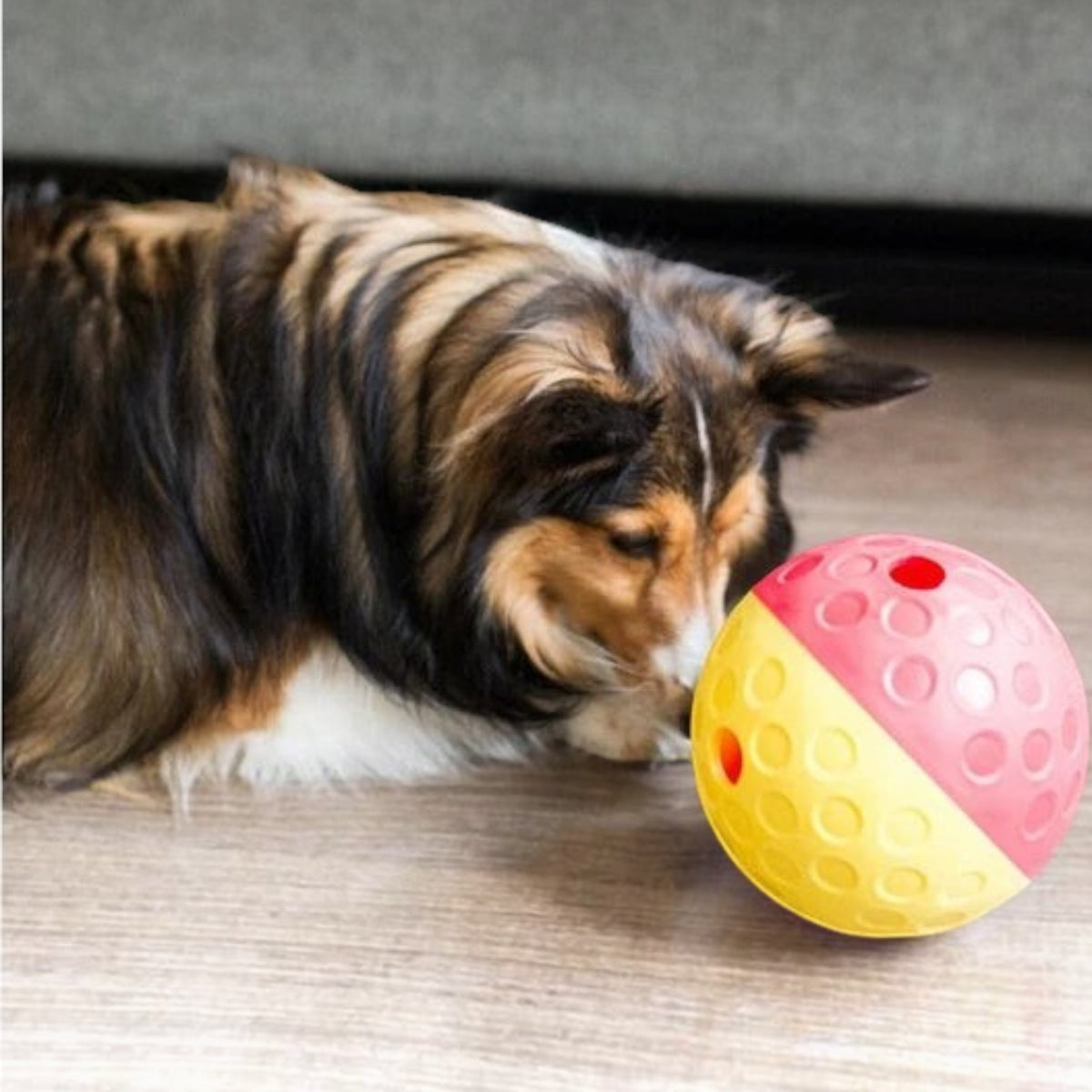 Treat Tumble - Large