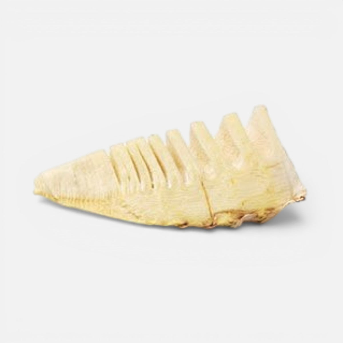 SPD™ Fresh Roll Lamb & Rosemary 2kg