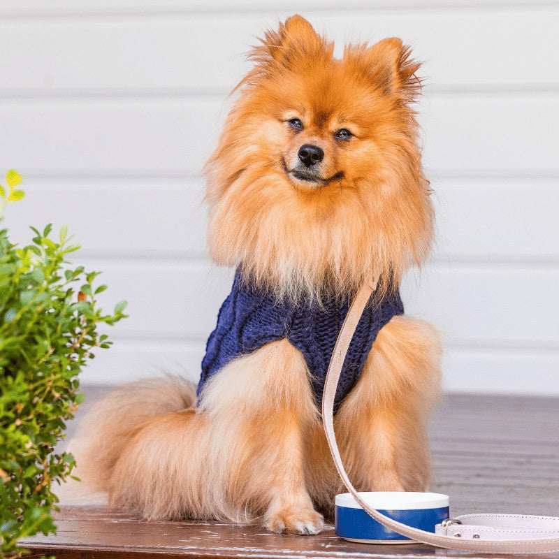 DOGUE Cable Knit Dog Jumper