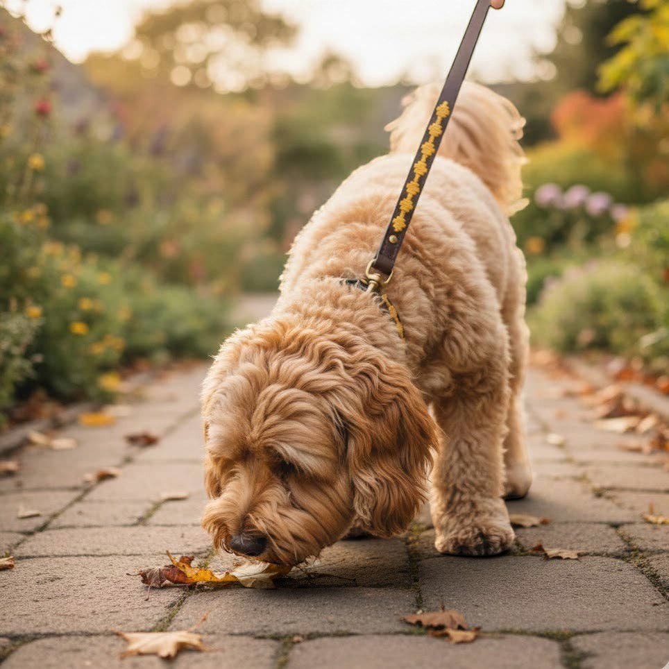 Polo Bark Lead - Wheat