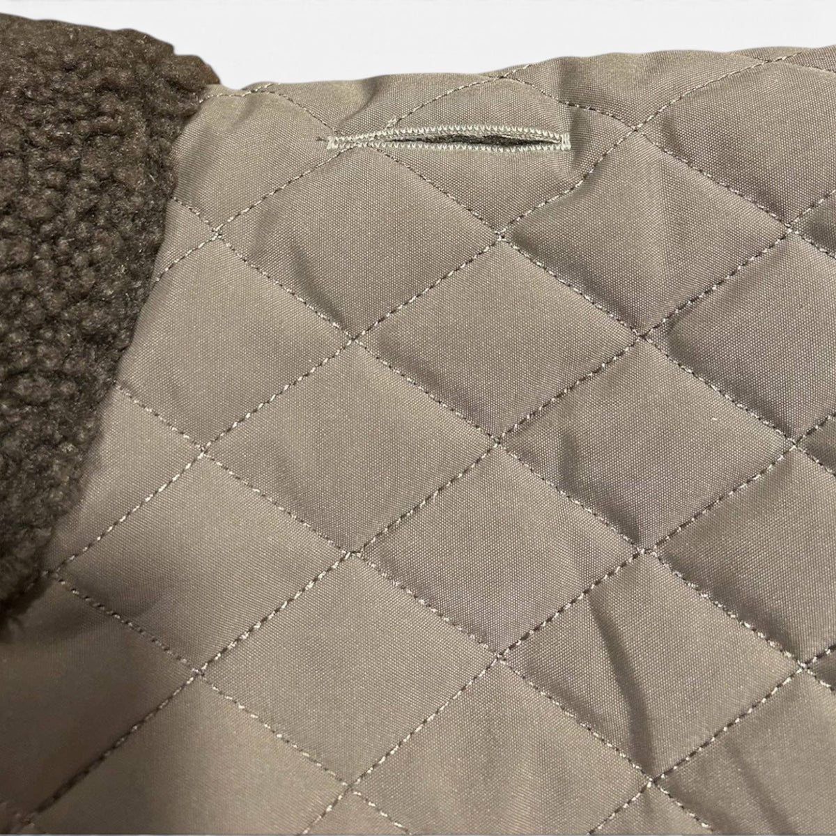 The Snuggie - Water shower proof Dachshund jacket
