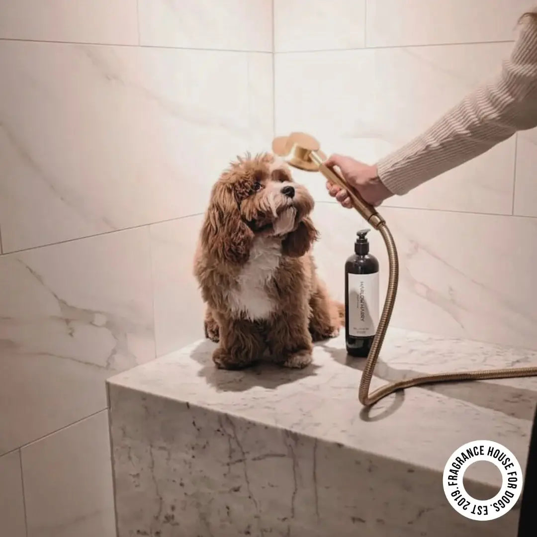 2-in-1 Conditioning Dog Shampoo | L'hermitage 37